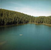 �J�i�_�̕��i �X�ƃE�F�X�^�����b�h�V�_�[�̌�����